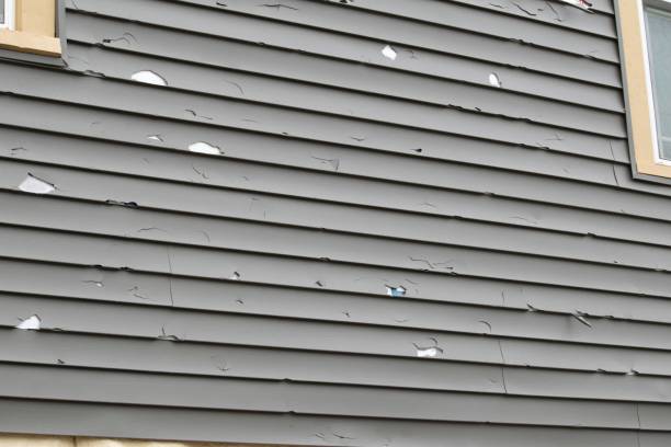 Best Fiber Cement Siding Installation  in Pflugerville, TX