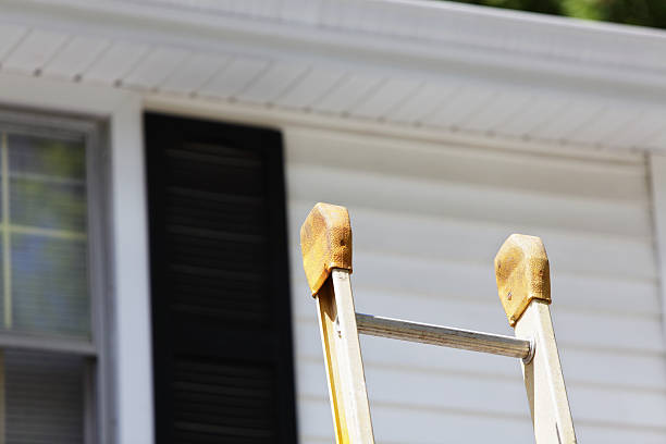 Best Siding Painting and Refinishing  in Pflugerville, TX